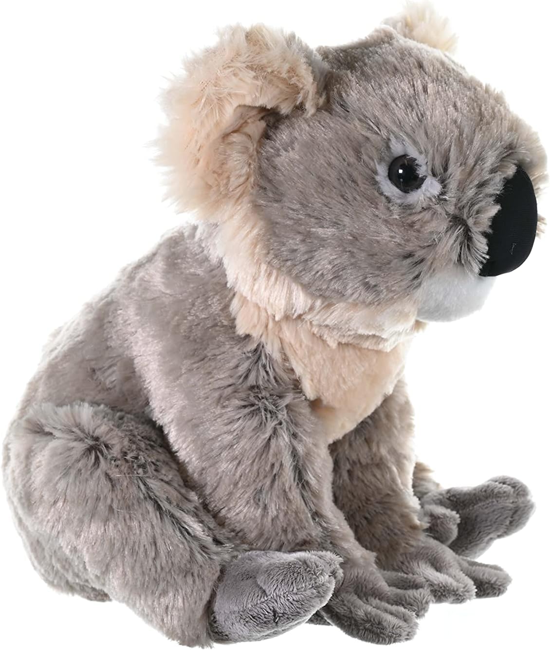 Wild Republic Koala Plush, Stuffed Animal, Plush Toy, Gifts for Kids, Cuddlekins 12"