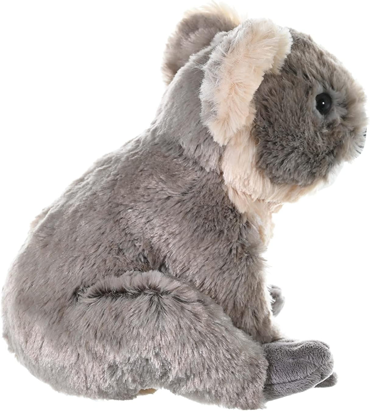 Wild Republic Koala Plush, Stuffed Animal, Plush Toy, Gifts for Kids, Cuddlekins 12"