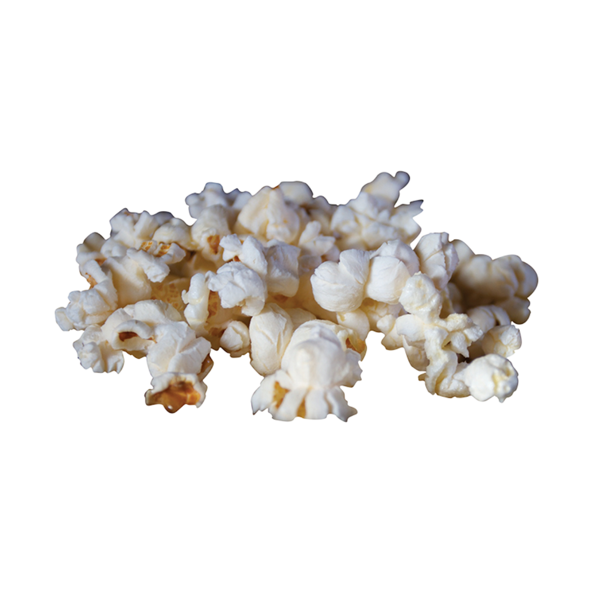 Esschert Design FF157 Fireplace Popcorn Popper Grey 27x7.1x3.7 inches