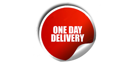 One Day Delivery