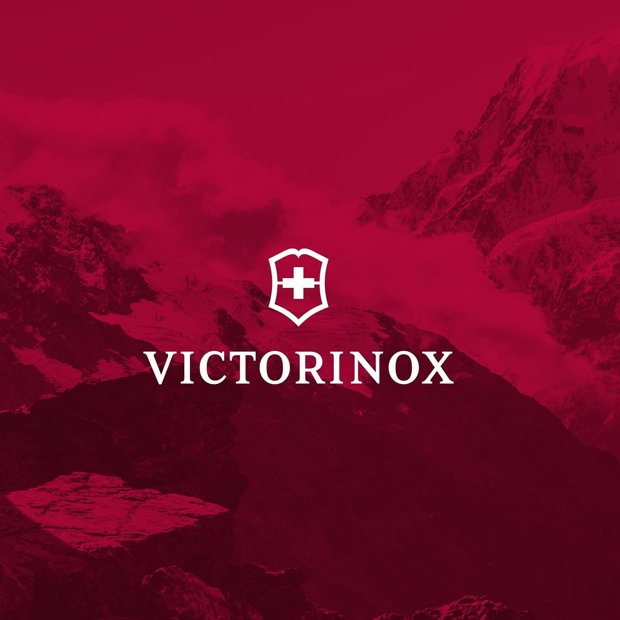 Victorinox Swiss Classic Kitchen Set - Includes Paring Knives, Carving Knife, Bread Knife & More - Premium Kitchen Accessories - Black Handles, 5-Piece Set
